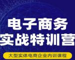 民赛电气内部出品：电子商务实战特训营，全方位带你入门电商，308种方式玩转电商-易得个人分享