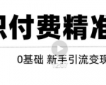 玩转知识付费项目精准引流,给你1套课多账号操作落地方案!-易得个人分享