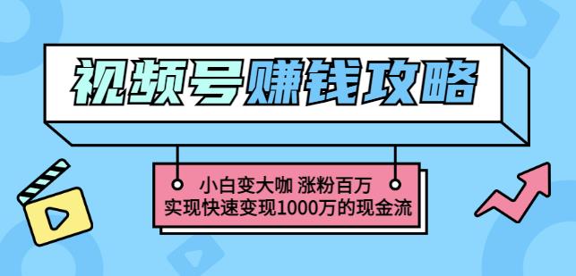 玩转微信视频号赚钱：小白变大咖涨粉百万实现快速变现1000万的现金流-易得个人分享