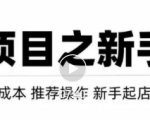 虚拟项目快速起店模式，0成本打造月入几万虚拟店铺！-易得个人分享