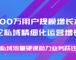 8000万用户规模增长方法论私域精细化运营增长，私域流量硬课助力业务跃迁-易得个人分享