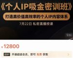 个人IP吸金密训班，打造高价值高效率的个人IP内容体系（价值12800元）-易得个人分享