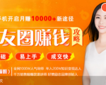 全网千万人气导师亲授：零基础/易上手的朋友圈赚钱攻略，让你轻松月入过万-易得个人分享