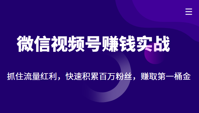 微信视频号赚钱实战：抓住流量红利，快速积累百万粉丝，赚取你的第一桶金-易得个人分享