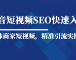抖音短视频Seo搜索排名优化新手快速入门教程,实体商家短视频,精准引流实操课-易得个人分享
