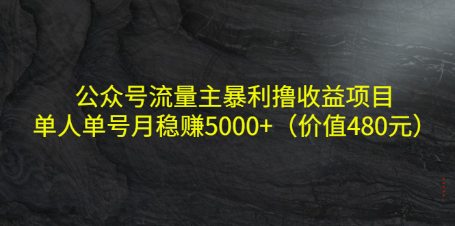 公众号流量主暴利撸收益项目，单人单号月稳赚5000+（价值480元）-易得个人分享