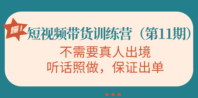 视频带货训练营，不需要真人出境，听话照做，保证出单（第11期）-易得个人分享