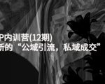 新媒体IP内训营(12期)，一套全新的“公域引流，私域成交”IP打法，直接带走-易得个人分享