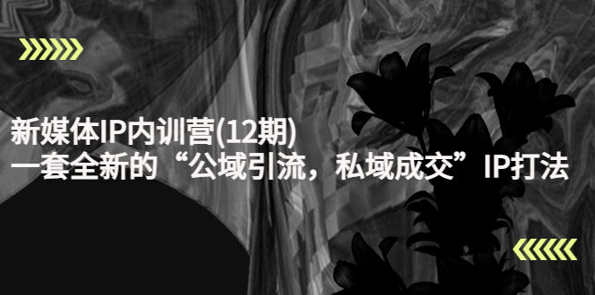 新媒体IP内训营(12期)，一套全新的“公域引流，私域成交”IP打法，直接带走-易得个人分享