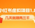 《小红书虚拟项目1.0》账号注册+养号+视频制作+引流+变现，几天就赚两三千-易得个人分享