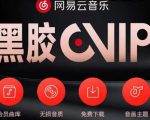 网易云音乐撸黑胶年卡及变现方法，收益可无限放大-易得个人分享