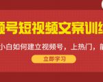 视频号短视频文案训练营:0基础小白如何建立视频号,上热门,能卖货!-易得个人分享