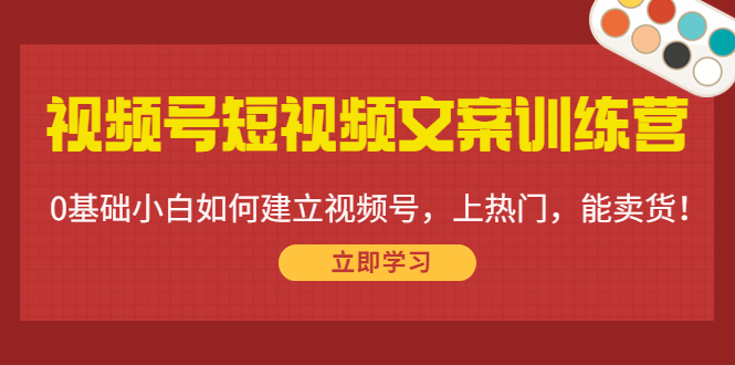 视频号短视频文案训练营：0基础小白如何建立视频号，上热门，能卖货！-易得个人分享
