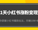 21天小红书涨粉变现营（第4期）：带你掌握小红书爆款玩法，月赚10W+秘密-易得个人分享