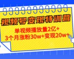 21天视频号变现特训营：单视频播放量2亿+3个月涨粉30w+变现20w+（第14期）-易得个人分享