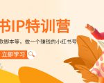 小红书IP特训营：从搭建-制作-爆款脚本等等，做一个赚钱的小红书号-易得个人分享