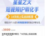 瑶瑶·自然流短视频IP孵化第二期，14天线上实战训练营，赋能100个人成为有数据能赚钱的独立IP孵化手-易得个人分享