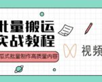视频号批量搬运实战操作运营赚钱教程，傻瓜式批量制作高质量内容【附视频教程+PPT】-易得个人分享