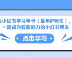 厦九九小红书学习年卡（全年IP孵化），沉浸式学习，一起成为有影响力的小红书博主-易得个人分享