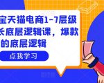 大圣淘宝天猫电商1-7层级盈利增长底层逻辑课，爆款的底层逻辑-易得个人分享