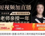 张越·短视频+直播，自然流三频共振起号实操课，​短视频所有流量玩法讲解-易得个人分享