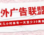 外面收费1980的最新国外LEAD广告联盟搬砖项目，单号一天至少30美金【详细玩法教程】-易得个人分享