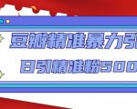 豆瓣精准暴力引流，日引精准粉500+【12课时】-易得个人分享