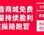 抖音商城搜索持续盈利陪跑成长营,抖音商城搜索从0-1、从1到10的全面解决方案-易得个人分享