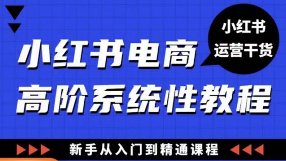 小红书电商高阶系统教程，新手从入门到精通系统课-易得个人分享