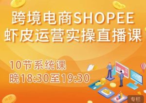 跨境电商Shopee虾皮运营实操直播课，从零开始学，入门到精通（10节系统课）-易得个人分享