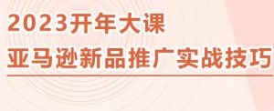 2023亚马逊新品推广实战技巧，线下百万美金课程的精简版，简单粗暴可复制，实操性强的推广手段-易得个人分享
