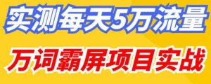 百度万词霸屏实操项目引流课,30天霸屏10万关键词-易得个人分享