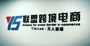 YS联盟·Tiktok无人直播,不出镜不剪辑不拍摄不发货无售后的跨境短视频躺赚玩法-易得个人分享