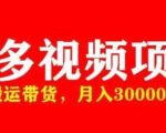 多多带货视频快速50爆款拿带货资格，搬运带货，月入30000【全套脚本+详细玩法】-易得个人分享