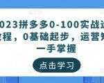 2023拼多多0-100实战运营教程，0基础起步，运营知识一手掌握-易得个人分享