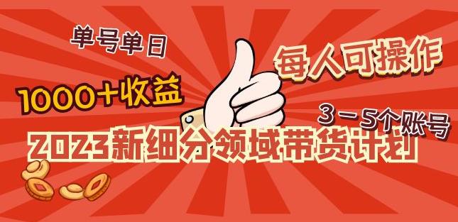 2023新细分领域带货计划：单号单日1000+收益不难，每人可操作3-5个账号-易得个人分享