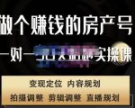 刘广标·同城房产号线上陪跑课，拍摄、剪辑、写文案、直播，做一个具有潜力价值的房产号-易得个人分享