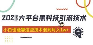 大平台黑科技引流技术，小白也能靠这些技术混到月入1w+(2022年的课程）-易得个人分享