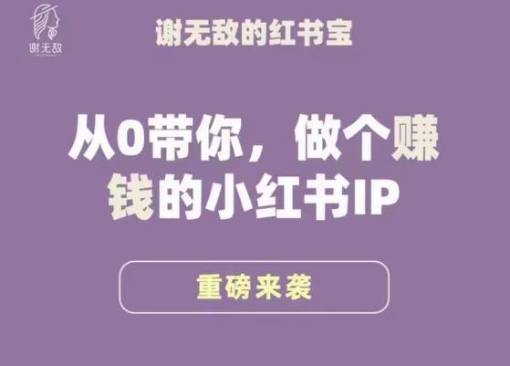 谢无敌·小红书运营大宝典，从0带你做个赚钱的小红书IP-易得个人分享