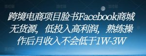 跨境电商项目脸书Facebook商城无货源，低投入高利润，熟练操作后月收入不会低于1W-3W-易得个人分享