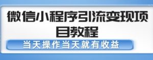 微信小程序引流变现项目教程，当天操作当天就有收益，变现不再是难事-易得个人分享