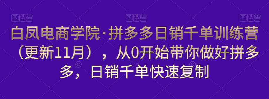 白凤电商学院·拼多多日销千单训练营，从0开始带你做好拼多多，日销千单快速复制（更新知2023年3月）-易得个人分享