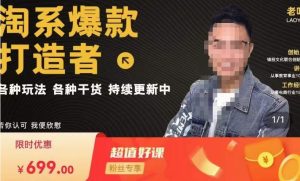 锋投老叶全店动销，淘系干货汇总，各种玩法，淘系爆款打造者-易得个人分享