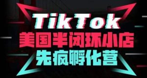 疯人院·TikTok美国半闭环小店孵化营，抢占TikTok美国蓝海市场，开店、运营、带货、投流全实操-易得个人分享