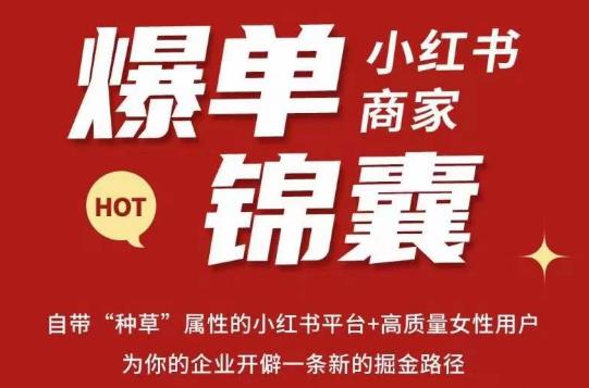 无畏·小红书商家爆单锦囊，掌握小红书各大规则，快速精准抢占行业和市场-易得个人分享