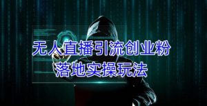 外面收费3980的无人直播引流创业粉落地实操玩法，单日引100+精准创业粉-易得个人分享