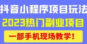 抖音小程序9.0新技巧，2023热门副业项目，动动手指轻松变现-易得个人分享