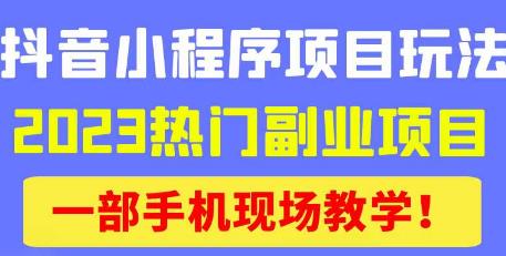 抖音小程序9.0新技巧，2023热门副业项目，动动手指轻松变现-易得个人分享