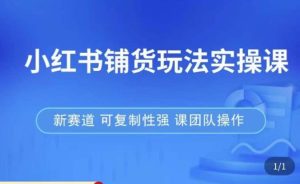 小红书铺货玩法实操课，流量大，竞争小，非常好做，新赛道，可复制性强，可团队操作-易得个人分享