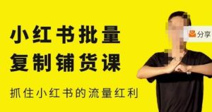 张宾·小红书批量复制铺货课，小红书0-1快速起号变现玩法，抓住小红书的流量红利（更新2023年3月）-易得个人分享